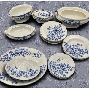 Vtg 19 Pc Ridgways Childs Maiden Hair Fern Dishes Doll Kids Toy 1890s